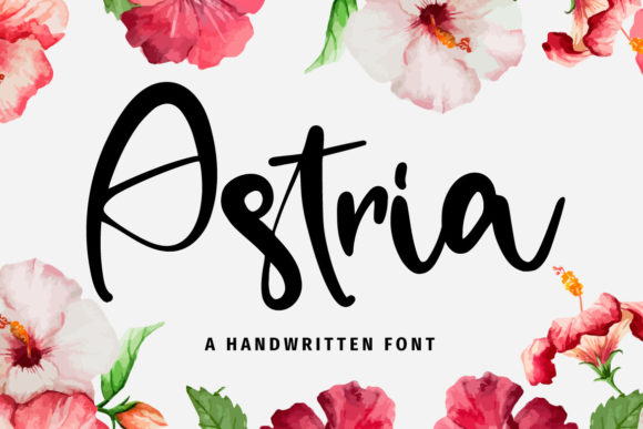 Astria: Elevating Brand Identity with Modern Brushed Script Typography